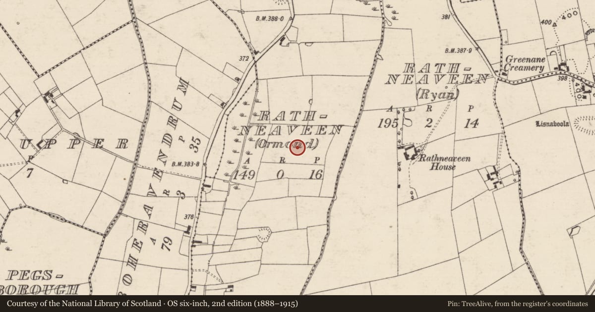 Ordnance Survey six-inch map, 2nd edition (1888–1915) covering the location of Enclosure, Rathneaveen (Ormond), County Tipperary South, with a pin at the register's coordinates