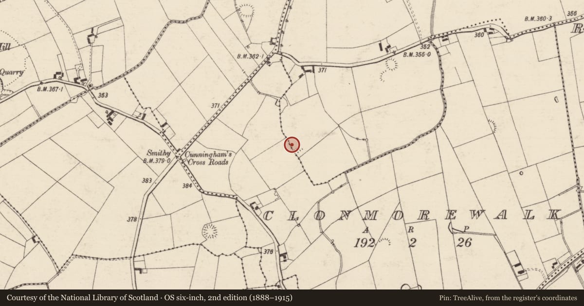 Ordnance Survey six-inch map, 2nd edition (1888–1915) covering the location of Enclosure, Clonmorewalk, Shanballymore, County Tipperary South, with a pin at the register's coordinates