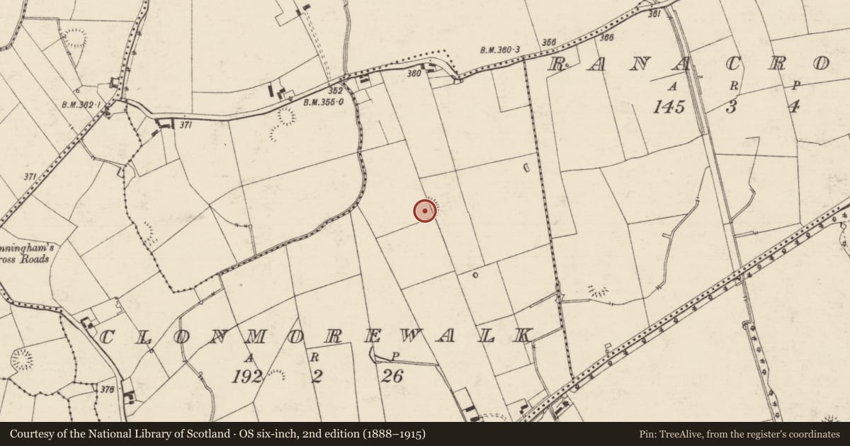 Ordnance Survey six-inch map, 2nd edition (1888–1915) covering the location of Enclosure, Clonmorewalk, County Tipperary South, with a pin at the register's coordinates