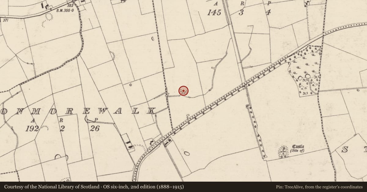 Ordnance Survey six-inch map, 2nd edition (1888–1915) covering the location of Enclosure, Ranacrohy (Kilmucklin Par.), County Tipperary South, with a pin at the register's coordinates