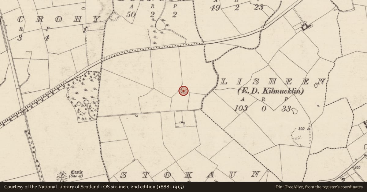 Ordnance Survey six-inch map, 2nd edition (1888–1915) covering the location of Enclosure, Stokaun, County Tipperary South, with a pin at the register's coordinates
