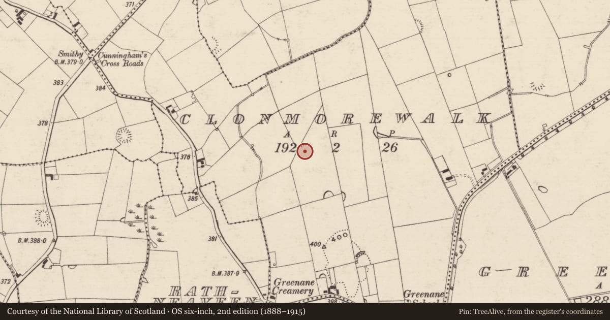 Ordnance Survey six-inch map, 2nd edition (1888–1915) covering the location of Enclosure, Clonmorewalk, County Tipperary South, with a pin at the register's coordinates