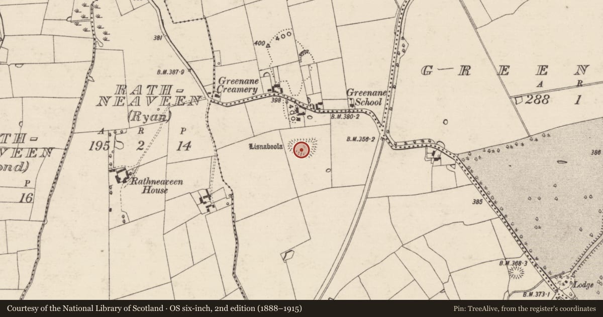 Ordnance Survey six-inch map, 2nd edition (1888–1915) covering the location of Enclosure, Reddanswalk, County Tipperary South, with a pin at the register's coordinates