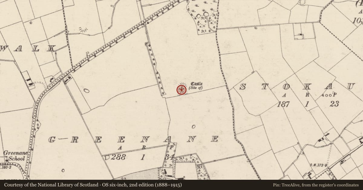 Ordnance Survey six-inch map, 2nd edition (1888–1915) covering the location of Castle - unclassified, Greenane, County Tipperary South, with a pin at the register's coordinates
