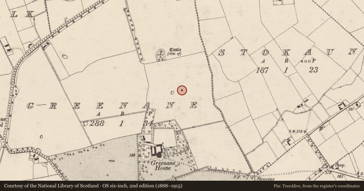 Ordnance Survey six-inch map, 2nd edition (1888–1915) covering the location of Settlement cluster, Greenane, County Tipperary South, with a pin at the register's coordinates
