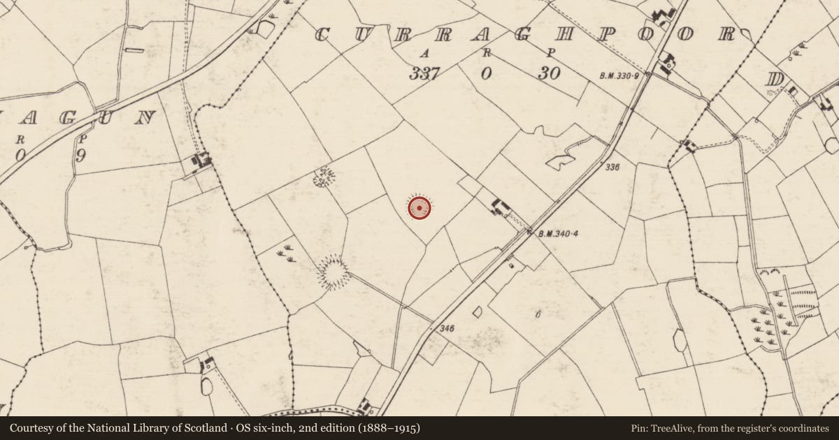 Ordnance Survey six-inch map, 2nd edition (1888–1915) covering the location of Enclosure, Curraghpoor, County Tipperary South, with a pin at the register's coordinates