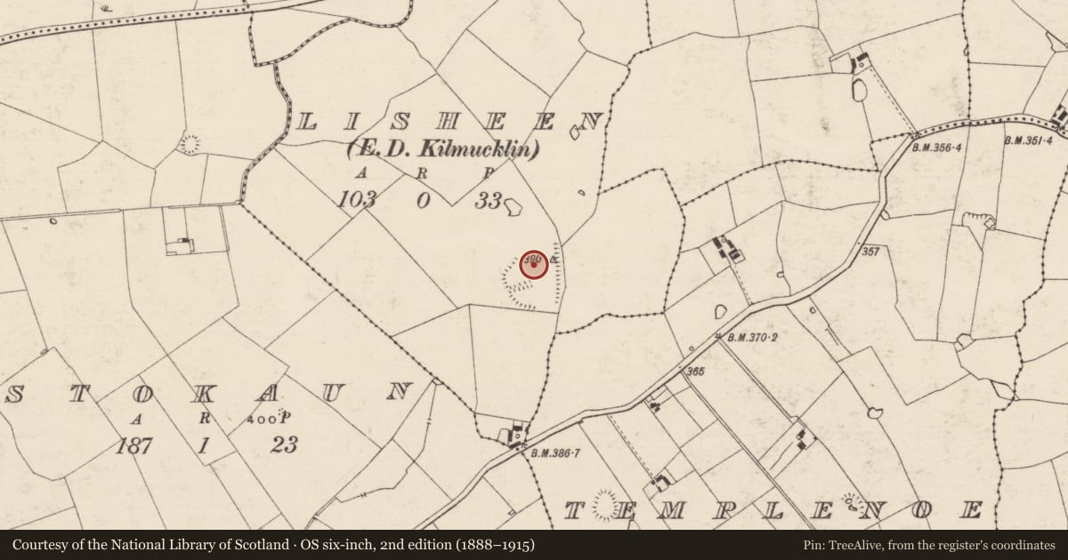 Ordnance Survey six-inch map, 2nd edition (1888–1915) covering the location of Enclosure, Lisheen (Templenoe Par.), County Tipperary South, with a pin at the register's coordinates