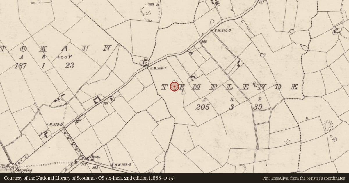Ordnance Survey six-inch map, 2nd edition (1888–1915) covering the location of Enclosure, Templenoe (Templenoe Par.), County Tipperary South, with a pin at the register's coordinates