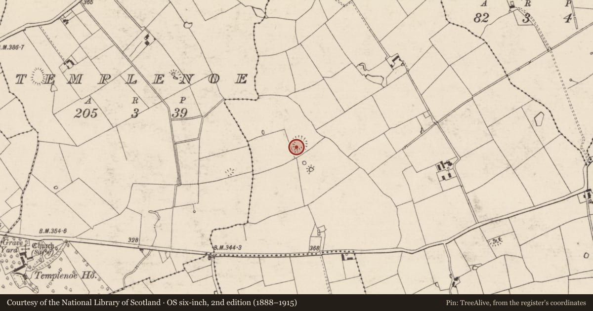 Ordnance Survey six-inch map, 2nd edition (1888–1915) covering the location of Enclosure, Kilfeakle, County Tipperary South, with a pin at the register's coordinates