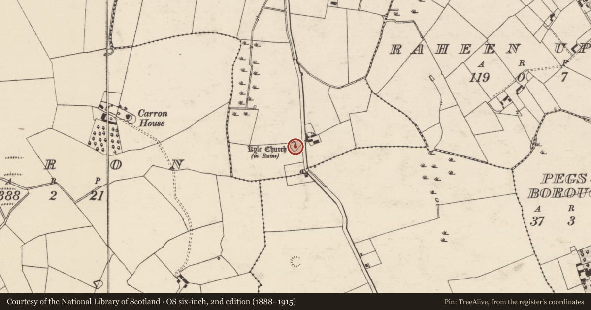 Ordnance Survey six-inch map, 2nd edition (1888–1915) covering the location of Graveyard, Kyle (Solloghodbeg Par.), County Tipperary South, with a pin at the register's coordinates