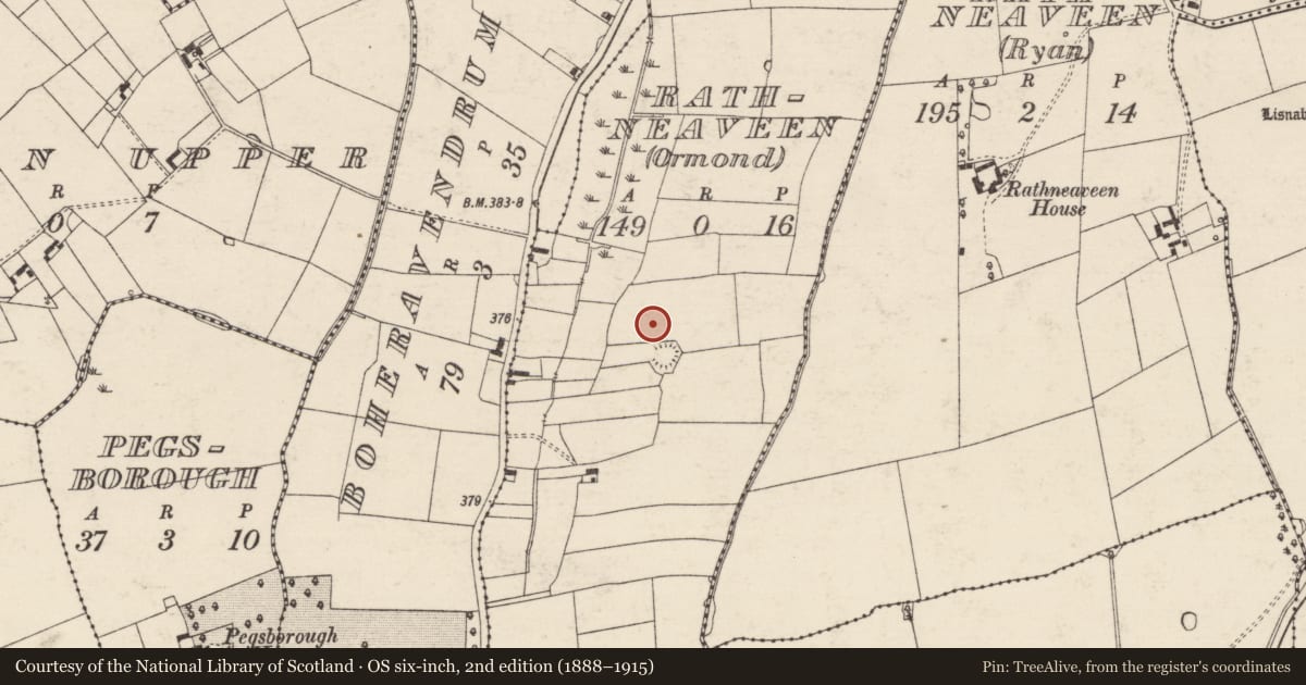 Ordnance Survey six-inch map, 2nd edition (1888–1915) covering the location of Field system, Rathneaveen (Ormond), County Tipperary South, with a pin at the register's coordinates