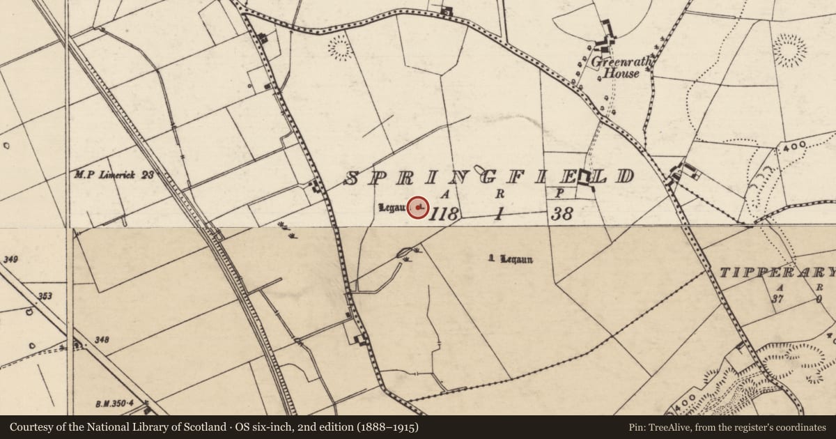 Ordnance Survey six-inch map, 2nd edition (1888–1915) covering the location of Standing stone, Springfield (Tipperary Par.), County Tipperary South, with a pin at the register's coordinates
