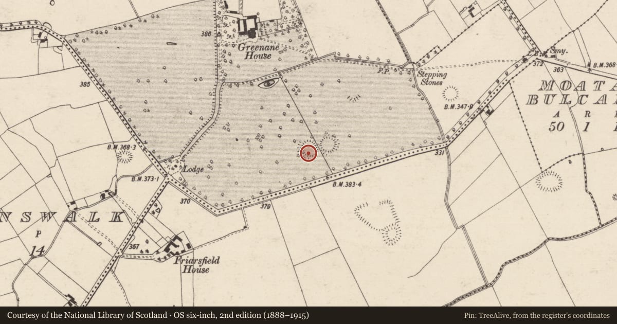 Ordnance Survey six-inch map, 2nd edition (1888–1915) covering the location of Enclosure, Greenane, County Tipperary South, with a pin at the register's coordinates