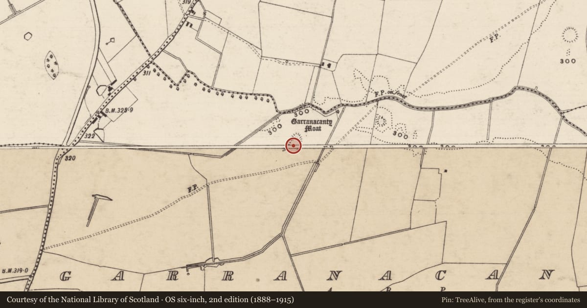 Ordnance Survey six-inch map, 2nd edition (1888–1915) covering the location of Castle - motte, Garranacanty, County Tipperary South, with a pin at the register's coordinates