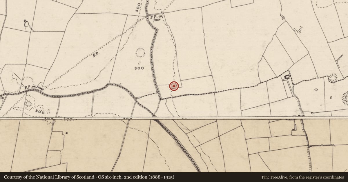 Ordnance Survey six-inch map, 2nd edition (1888–1915) covering the location of Enclosure, Drumclieve, County Tipperary South, with a pin at the register's coordinates