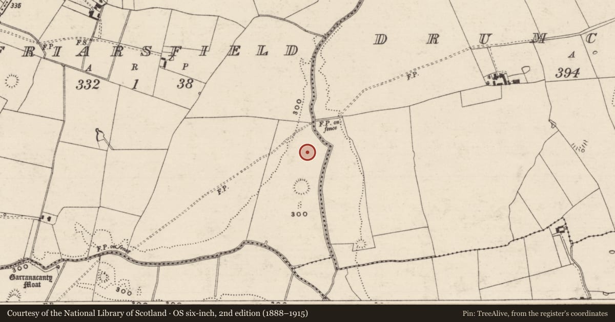 Ordnance Survey six-inch map, 2nd edition (1888–1915) covering the location of Enclosure, Friarsfield, County Tipperary South, with a pin at the register's coordinates