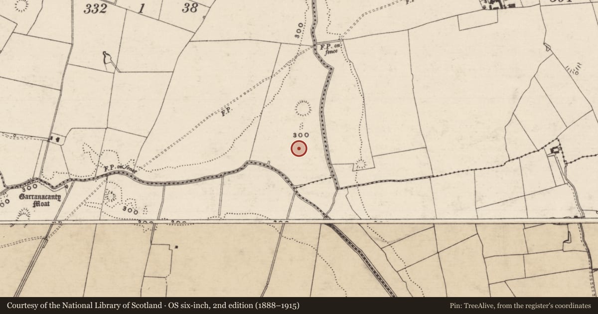 Ordnance Survey six-inch map, 2nd edition (1888–1915) covering the location of Burial ground, Friarsfield, County Tipperary South, with a pin at the register's coordinates