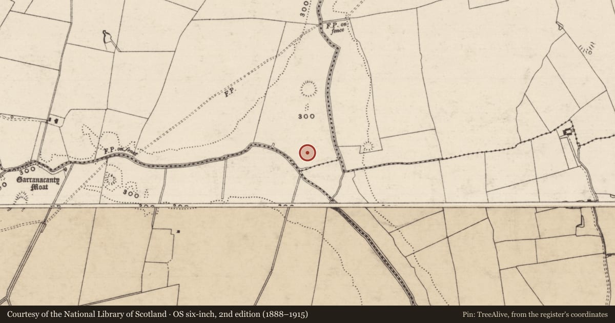 Ordnance Survey six-inch map, 2nd edition (1888–1915) covering the location of Barrow - embanked barrow, Friarsfield, County Tipperary South, with a pin at the register's coordinates