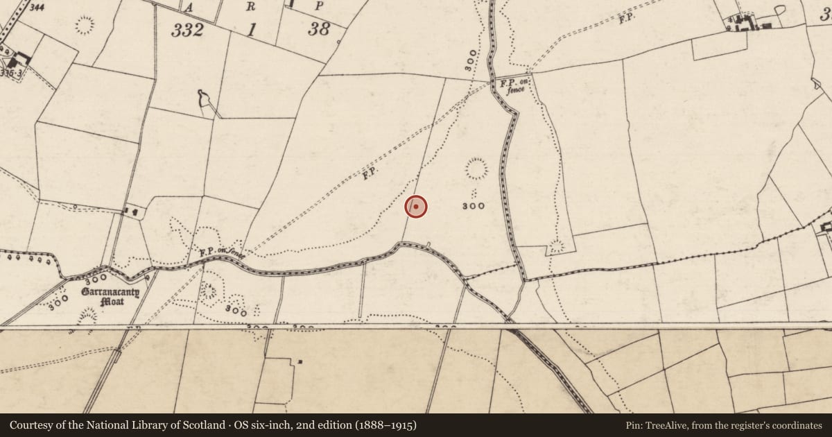Ordnance Survey six-inch map, 2nd edition (1888–1915) covering the location of Barrow - ditch barrow, Friarsfield, County Tipperary South, with a pin at the register's coordinates