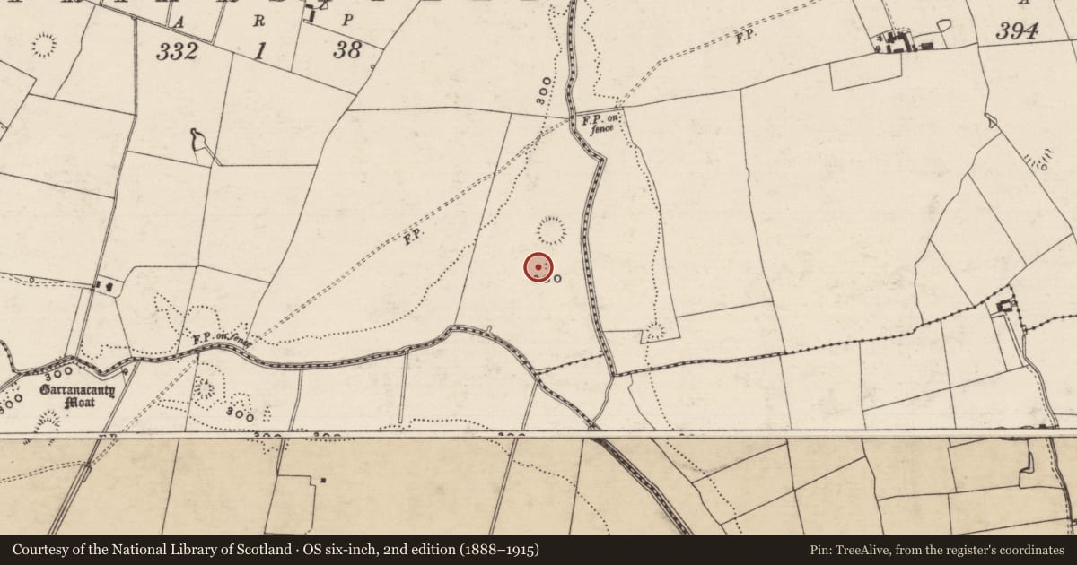 Ordnance Survey six-inch map, 2nd edition (1888–1915) covering the location of Building, Friarsfield, County Tipperary South, with a pin at the register's coordinates