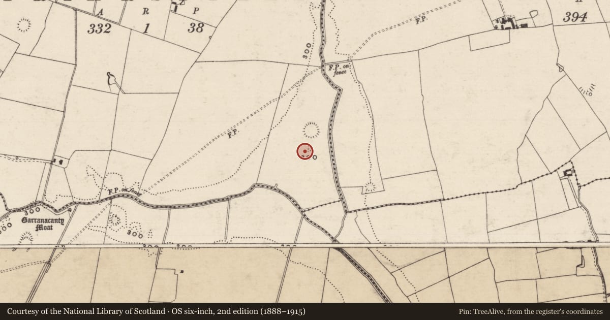 Ordnance Survey six-inch map, 2nd edition (1888–1915) covering the location of Enclosure, Friarsfield, County Tipperary South, with a pin at the register's coordinates