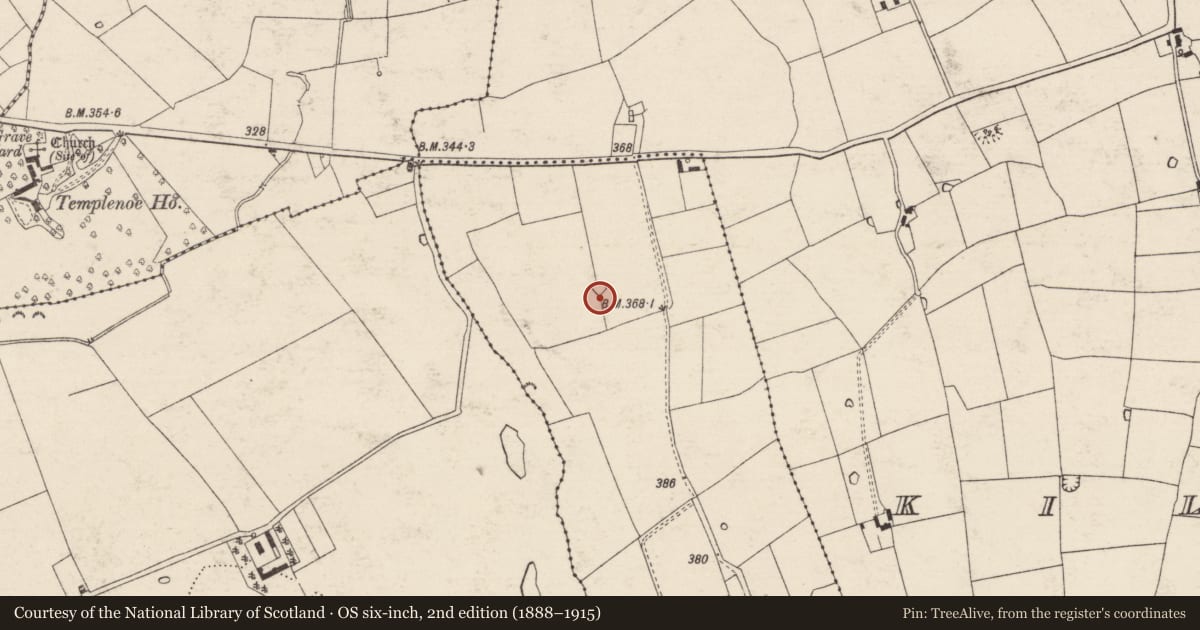 Ordnance Survey six-inch map, 2nd edition (1888–1915) covering the location of Barrow - ditch barrow, Camea, County Tipperary South, with a pin at the register's coordinates