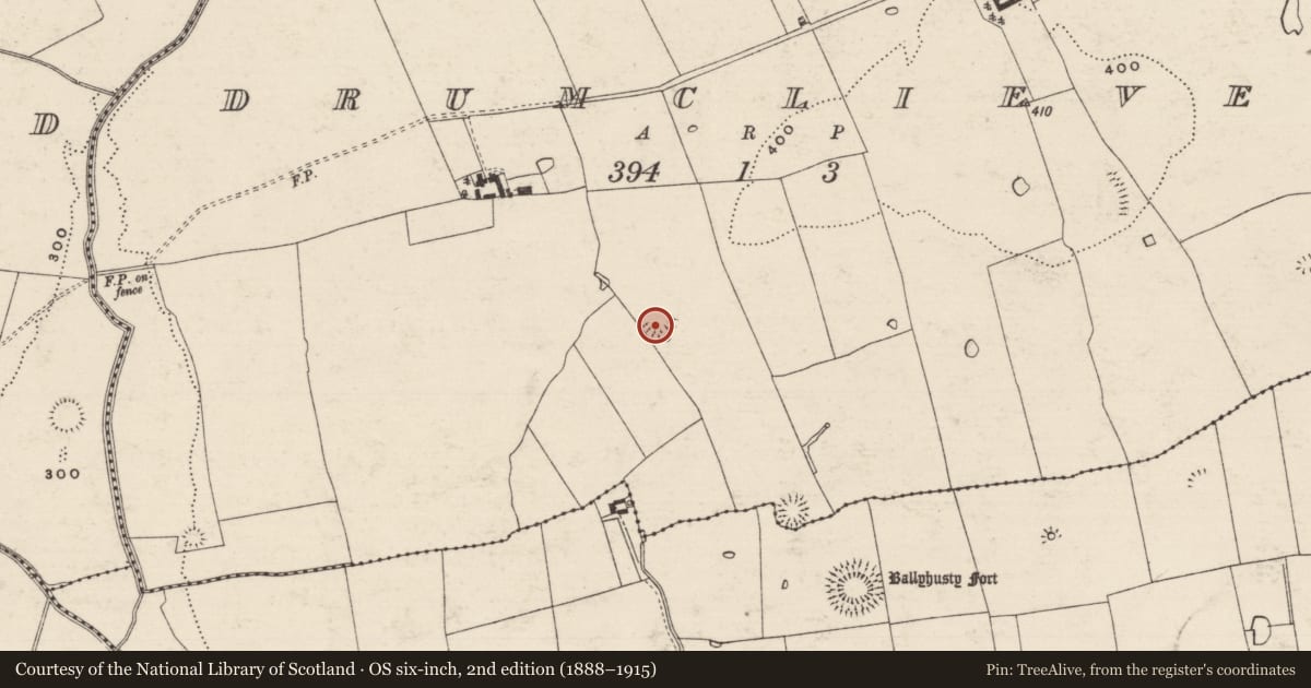 Ordnance Survey six-inch map, 2nd edition (1888–1915) covering the location of Enclosure, Drumclieve, County Tipperary South, with a pin at the register's coordinates