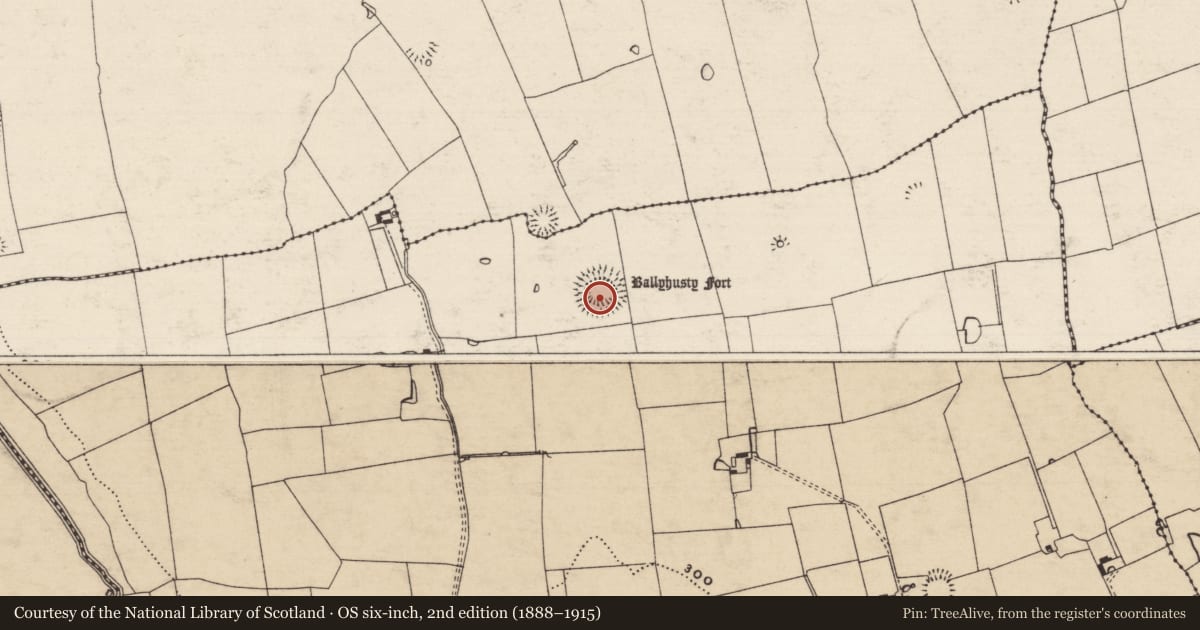Ordnance Survey six-inch map, 2nd edition (1888–1915) covering the location of Ringfort - rath, Ballyhusty, County Tipperary South, with a pin at the register's coordinates