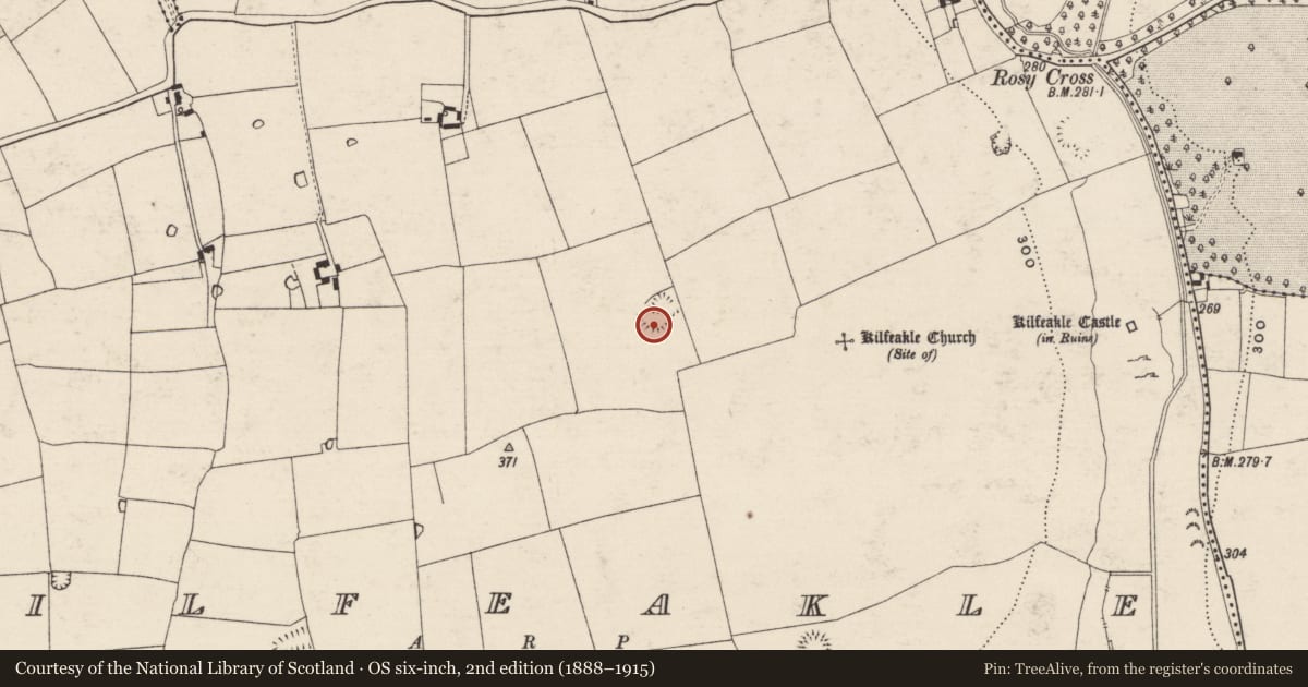 Ordnance Survey six-inch map, 2nd edition (1888–1915) covering the location of Enclosure, Kilfeakle, County Tipperary South, with a pin at the register's coordinates