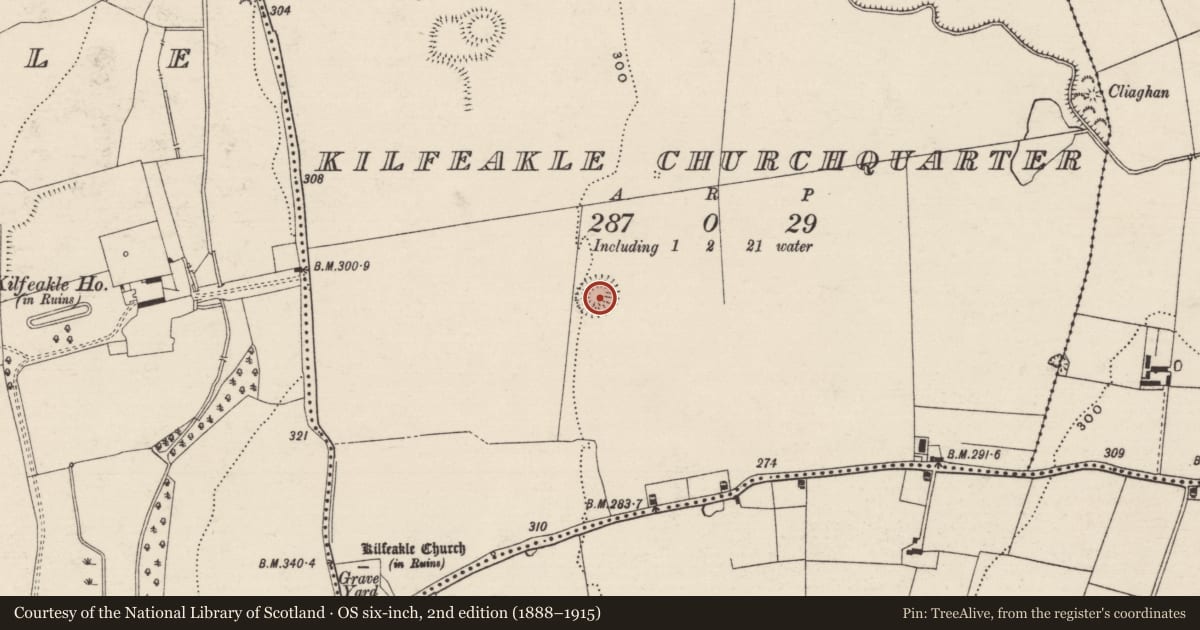 Ordnance Survey six-inch map, 2nd edition (1888–1915) covering the location of Ringfort - rath, Kilfeakle Churchquarter, County Tipperary South, with a pin at the register's coordinates
