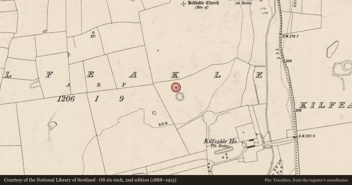 Ordnance Survey six-inch map, 2nd edition (1888–1915) covering the location of Enclosure, Kilfeakle, County Tipperary South, with a pin at the register's coordinates