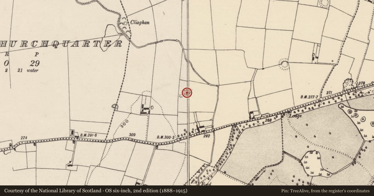Ordnance Survey six-inch map, 2nd edition (1888–1915) covering the location of Enclosure, Cahervillahowe (Kilfeakle Par.), County Tipperary South, with a pin at the register's coordinates