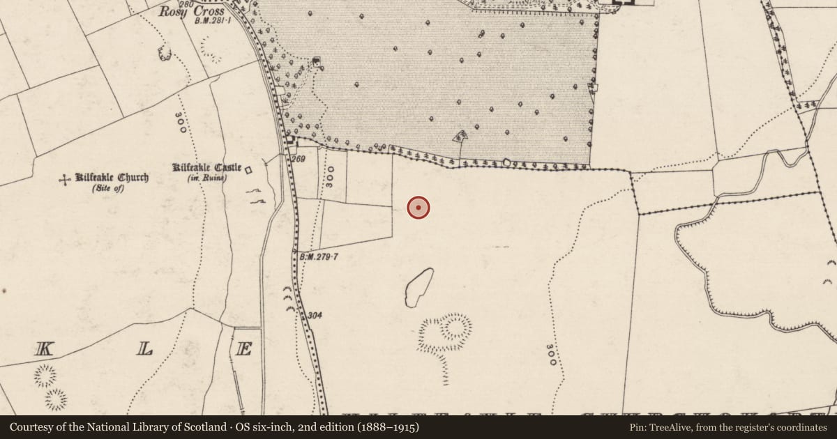 Ordnance Survey six-inch map, 2nd edition (1888–1915) covering the location of Enclosure, Kilfeakle Churchquarter, County Tipperary South, with a pin at the register's coordinates