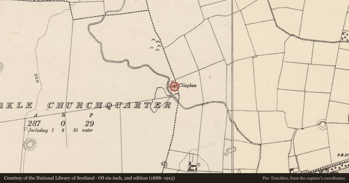 Ordnance Survey six-inch map, 2nd edition (1888–1915) covering the location of Barrow - stepped barrow, Kilfeakle Churchquarter, County Tipperary South, with a pin at the register's coordinates