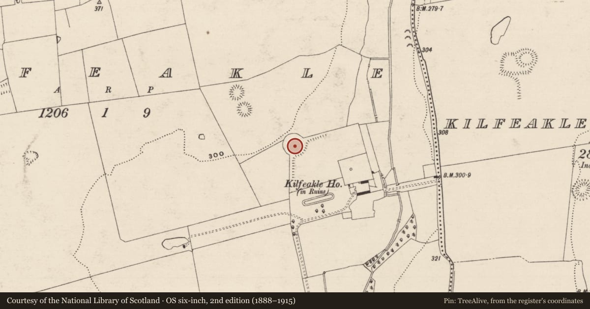 Ordnance Survey six-inch map, 2nd edition (1888–1915) covering the location of Enclosure, Kilfeakle, County Tipperary South, with a pin at the register's coordinates
