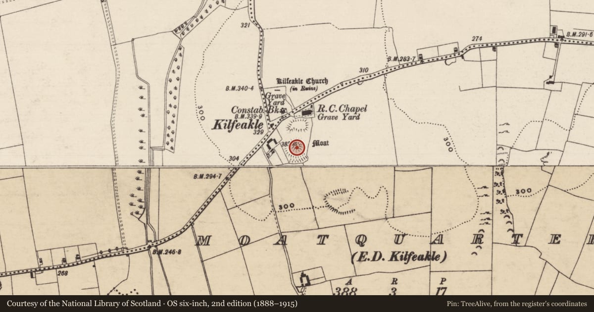 Ordnance Survey six-inch map, 2nd edition (1888–1915) covering the location of Castle - motte and bailey, Moatquarter (Kilfeakle Par.), County Tipperary South, with a pin at the register's coordinates