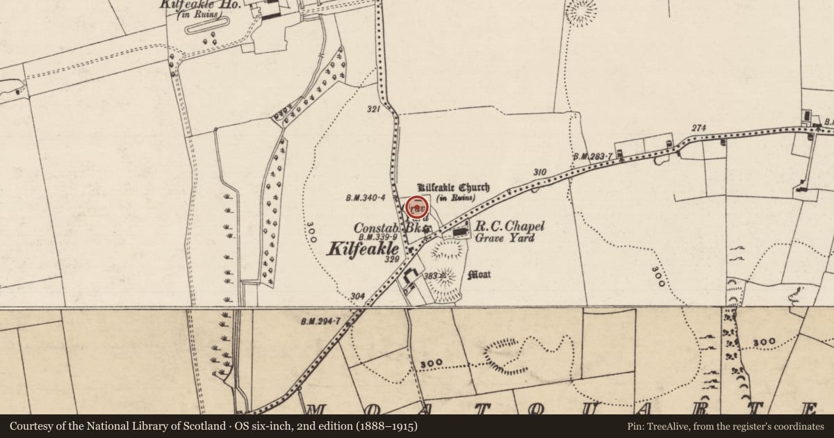 Ordnance Survey six-inch map, 2nd edition (1888–1915) covering the location of Graveyard, Kilfeakle Churchquarter, County Tipperary South, with a pin at the register's coordinates
