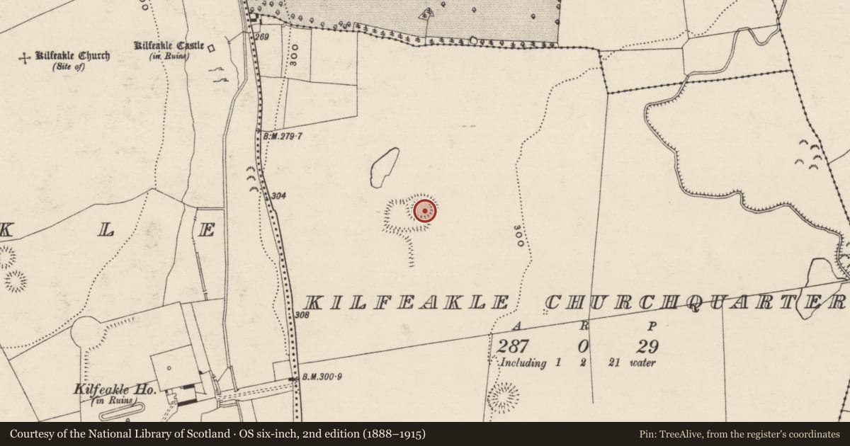 Ordnance Survey six-inch map, 2nd edition (1888–1915) covering the location of Ringfort - rath, Kilfeakle Churchquarter, County Tipperary South, with a pin at the register's coordinates