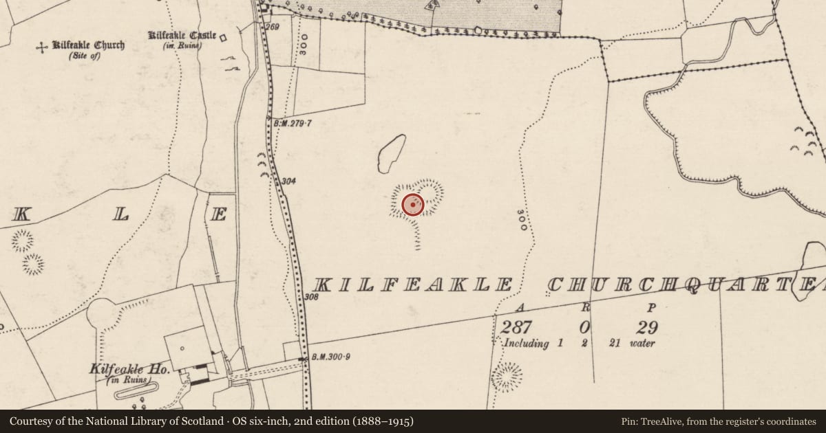 Ordnance Survey six-inch map, 2nd edition (1888–1915) covering the location of Enclosure, Kilfeakle Churchquarter, County Tipperary South, with a pin at the register's coordinates