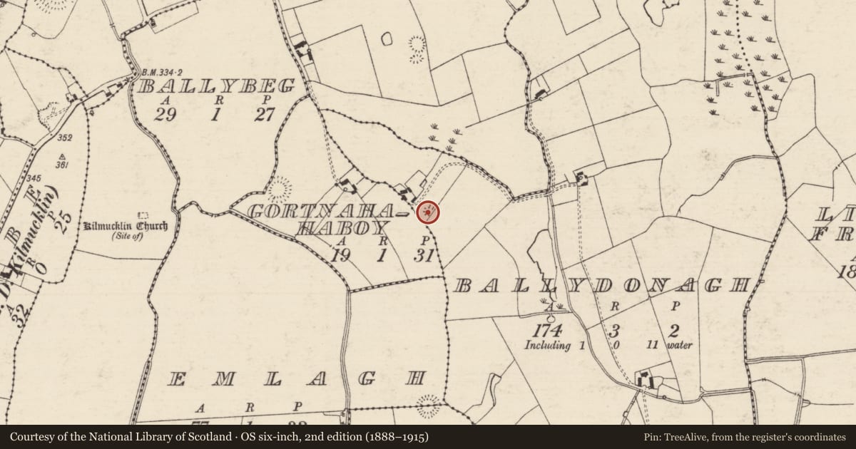 Ordnance Survey six-inch map, 2nd edition (1888–1915) covering the location of Enclosure, Ballydonagh, County Tipperary South, with a pin at the register's coordinates