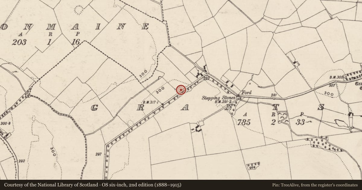Ordnance Survey six-inch map, 2nd edition (1888–1915) covering the location of Moated site, Grantstown, County Tipperary South, with a pin at the register's coordinates