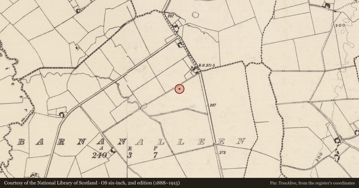 Ordnance Survey six-inch map, 2nd edition (1888–1915) covering the location of Enclosure, Barnanalleen, County Tipperary South, with a pin at the register's coordinates