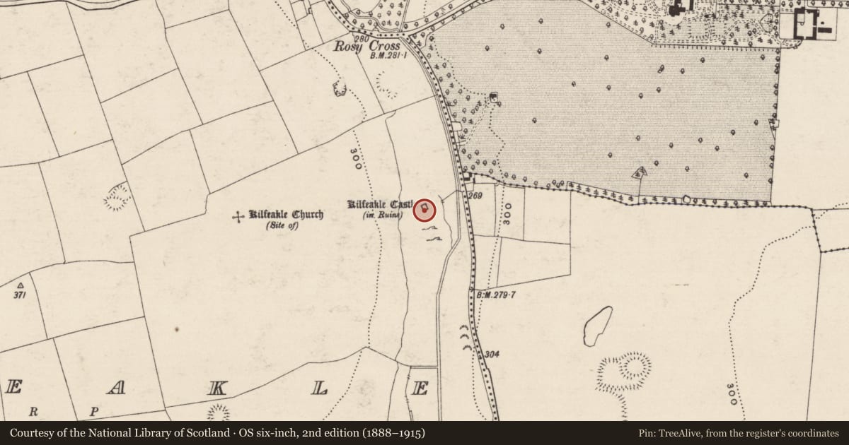 Ordnance Survey six-inch map, 2nd edition (1888–1915) covering the location of Castle - tower house, Kilfeakle, County Tipperary South, with a pin at the register's coordinates