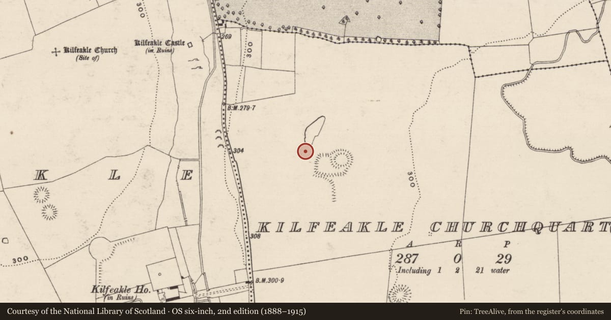 Ordnance Survey six-inch map, 2nd edition (1888–1915) covering the location of Barrow - ditch barrow, Kilfeakle Churchquarter, County Tipperary South, with a pin at the register's coordinates