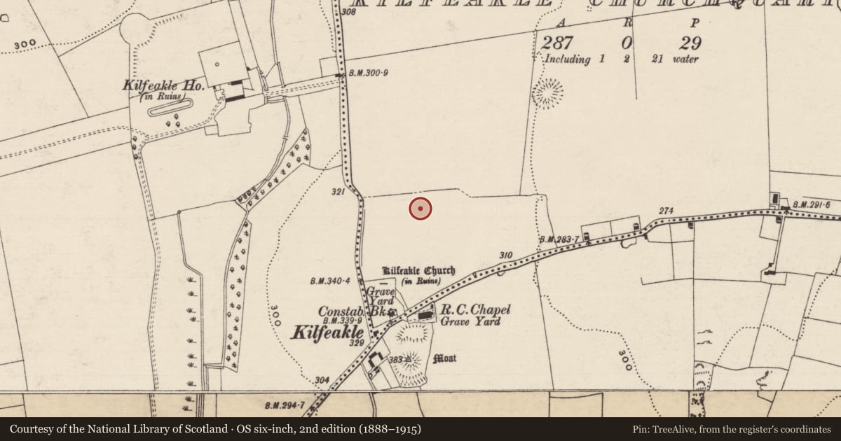 Ordnance Survey six-inch map, 2nd edition (1888–1915) covering the location of Barrow - ring-barrow, Kilfeakle Churchquarter, County Tipperary South, with a pin at the register's coordinates