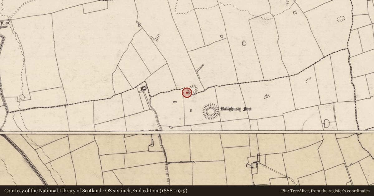 Ordnance Survey six-inch map, 2nd edition (1888–1915) covering the location of House - indeterminate date, Ballyhusty, County Tipperary South, with a pin at the register's coordinates
