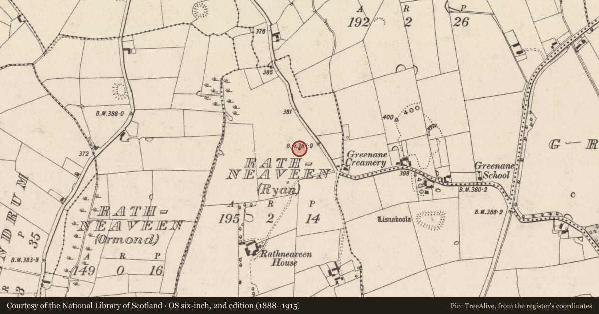 Ordnance Survey six-inch map, 2nd edition (1888–1915) covering the location of Standing stone, Rathneaveen (Ryan), County Tipperary South, with a pin at the register's coordinates