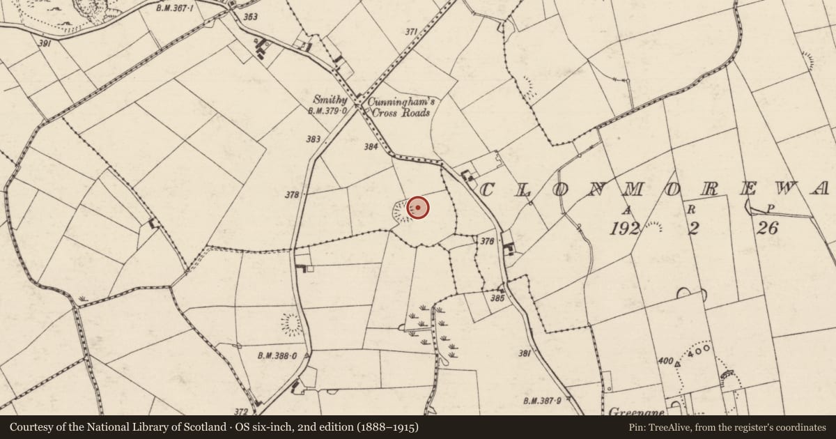 Ordnance Survey six-inch map, 2nd edition (1888–1915) covering the location of Standing stone, Rathneaveen (Ryan), County Tipperary South, with a pin at the register's coordinates