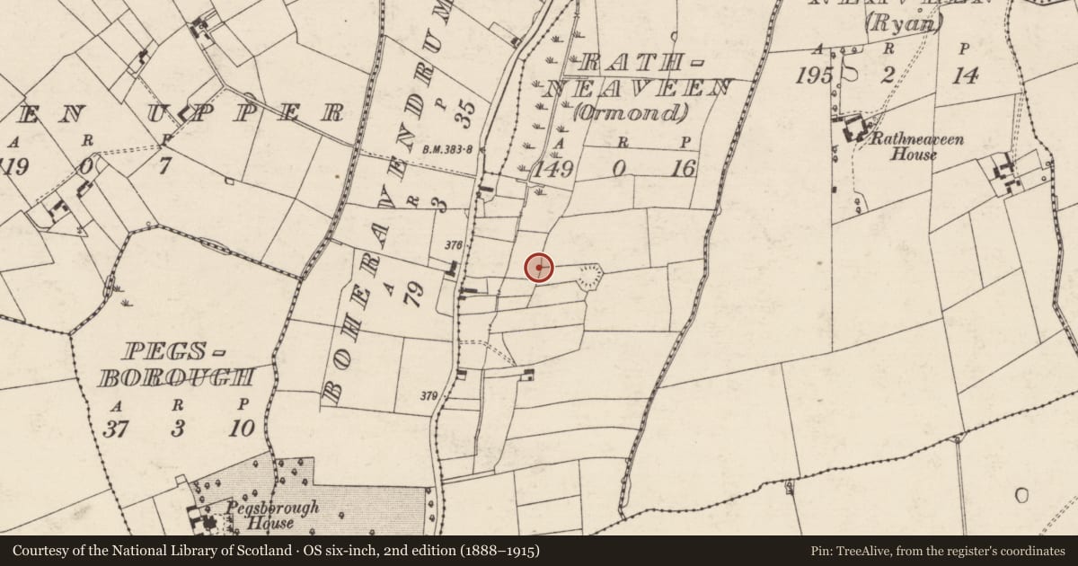 Ordnance Survey six-inch map, 2nd edition (1888–1915) covering the location of Enclosure, Rathneaveen (Ormond), County Tipperary South, with a pin at the register's coordinates