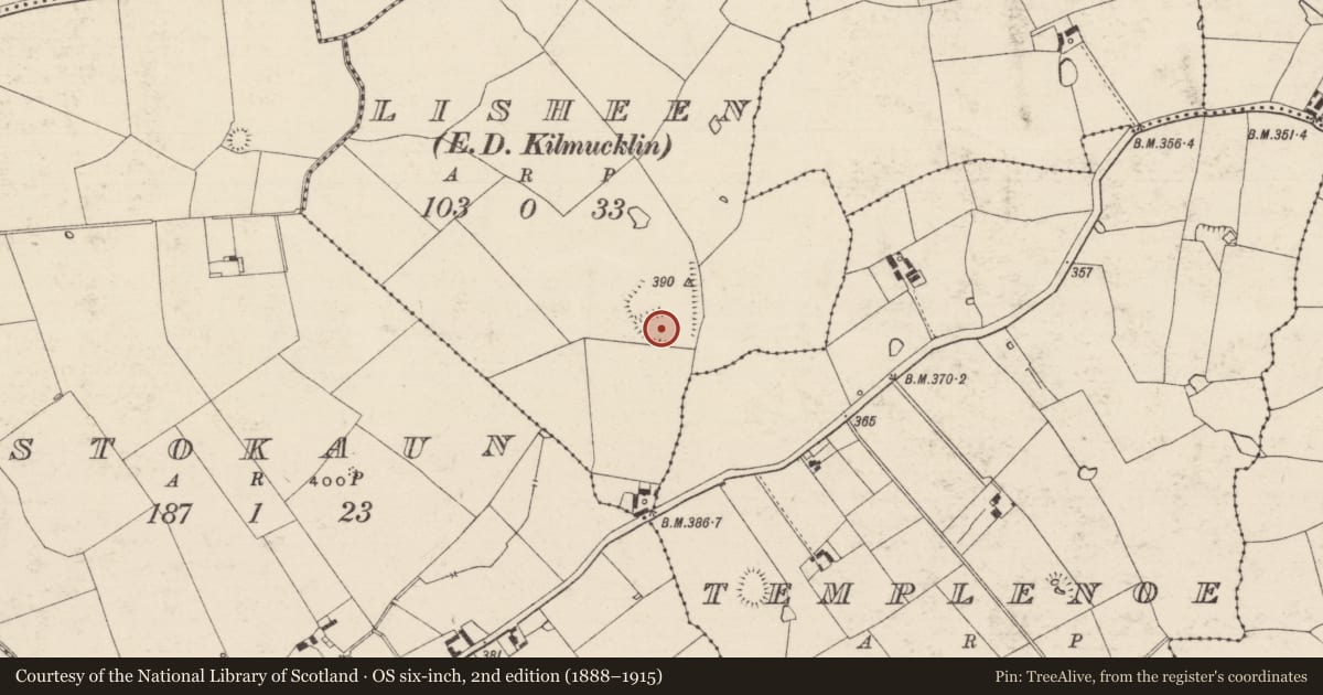 Ordnance Survey six-inch map, 2nd edition (1888–1915) covering the location of Enclosure, Lisheen (Templenoe Par.), County Tipperary South, with a pin at the register's coordinates